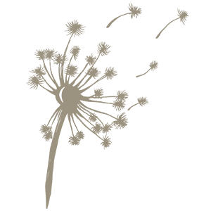 Family History Research in Hampshire